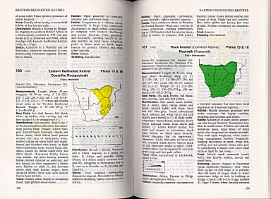 book20c.jpg (39427 bytes)