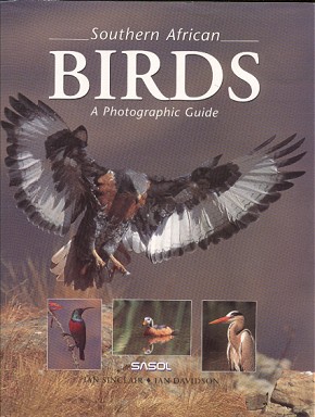 book21a.jpg (40980 bytes)